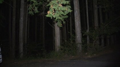 青木ヶ原樹海で重度の知的障害がある57歳息子の首を絞め殺害か　韓国籍の89歳女を逮捕　山梨・富士河口湖町