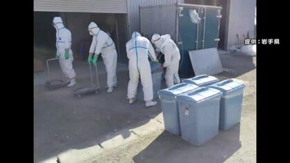 高病原性鳥インフル確認の養鶏場防疫措置完了へ　ニワトリ約56万羽を殺処分　岩手県金ヶ崎町　