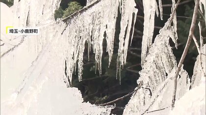 【異変】「アイスクリーム食べました」“大寒”なのに3月並みの暖かさで春の陽気に　“冬の風物詩”が「ポタポタ・ガッシャーン」崩れ落ちる