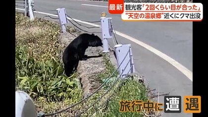 「恐怖感じた」“天空の温泉郷”で子グマ目撃　各地で出没相次ぎ警戒高まる　住職「お供え物は持ち帰って」
