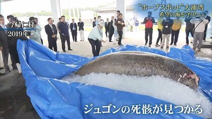 大浦湾 毎週土曜日 セール キャンドル