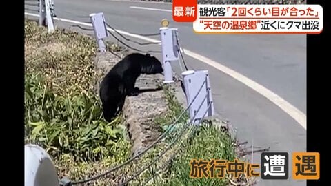 「恐怖感じた」“天空の温泉郷”で子グマ目撃　各地で出没相次ぎ警戒高まる　住職「お供え物は持ち帰って」