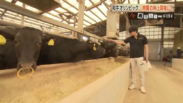 加治佐さんと競りで獲得した子牛たち