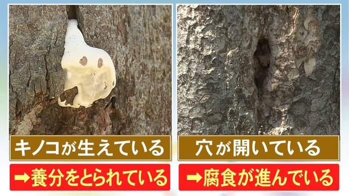 ニュースONE