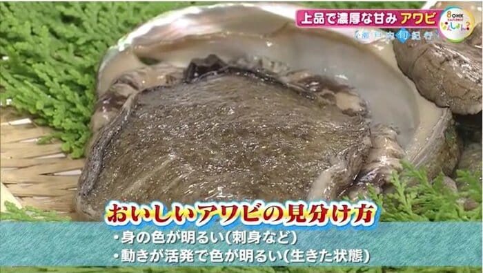 おいしいアワビの見分け方