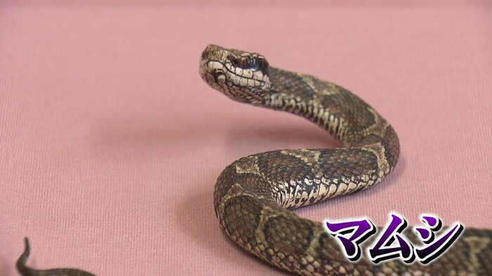 今にも動き出しそう…