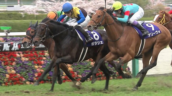 2022年 大阪杯で8番人気のポタジェが勝利