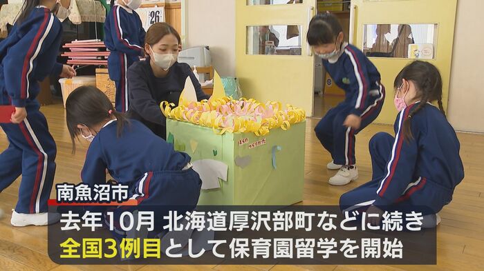 保育園留学