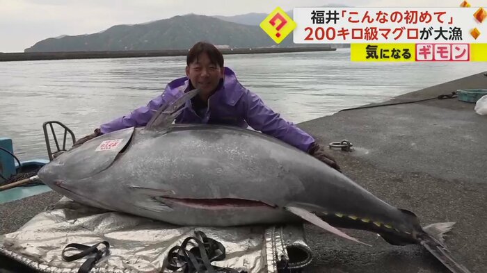 腕を広げてマグロの大きさを表す漁師