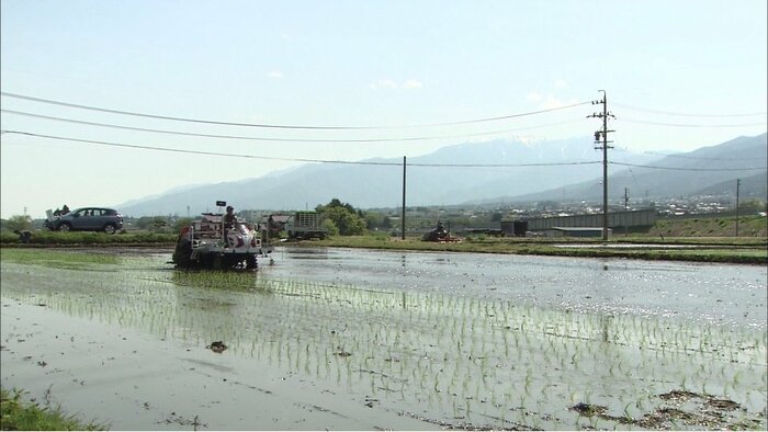 瀬戸ライスファームが管理している水田(長野県辰野町)