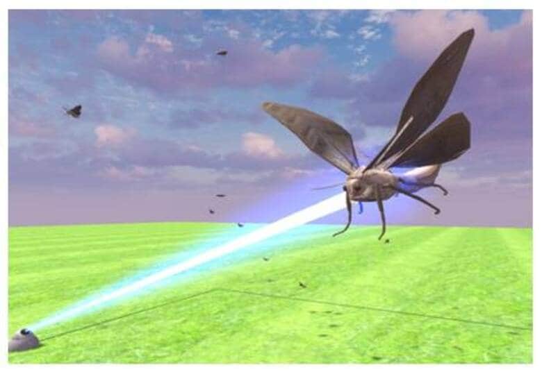 飛び回る害虫をレーザーで“狙撃”可能に!? 0.03秒先の飛行ルートを予測…農業に役立つ新技術を開発｜FNNプライムオンライン