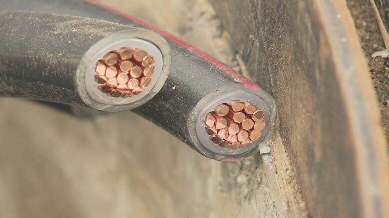 運動場の照明使えず…重さ550キロの銅線ケーブルを工具で切断　時価合計約141万円相当を盗んだ疑いでカンボジア国籍の男（30）を逮捕　長野・高山村｜FNNプライムオンライン