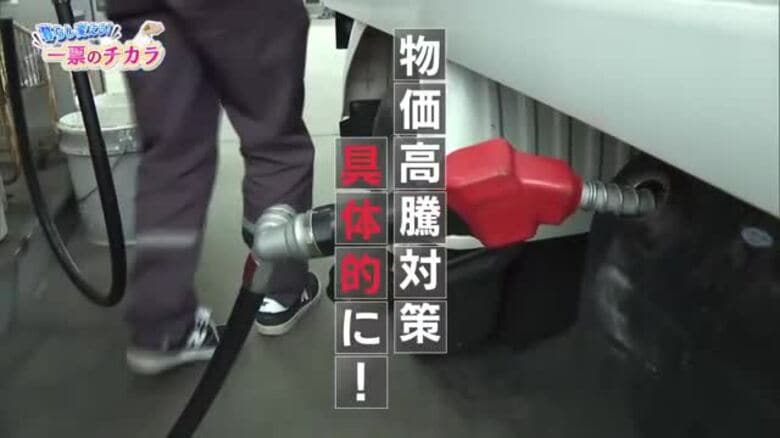 参院選・物価高騰対策を【徳島・高知】の候補者4人に聞く｜FNNプライムオンライン
