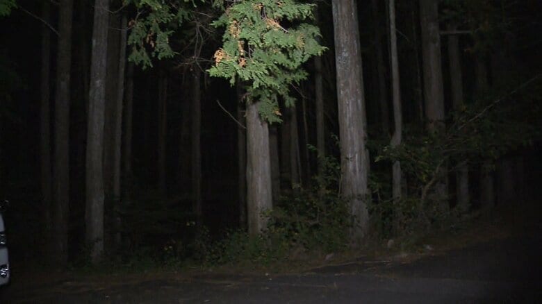 青木ヶ原樹海で重度の知的障害がある57歳息子の首を絞め殺害か　韓国籍の89歳女を逮捕　山梨・富士河口湖町｜FNNプライムオンライン