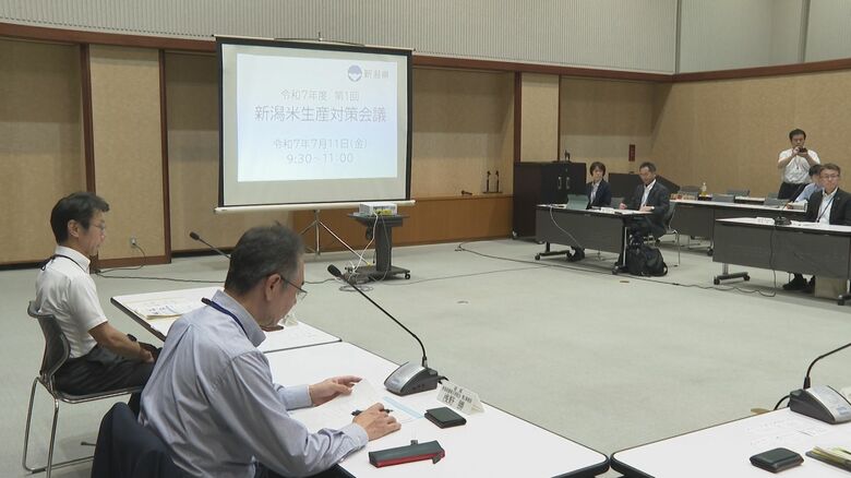 米の生育に影響は…“猛暑”予想される夏 安定供給に向け管理徹底を呼びかけ「稲の状態に応じて穂肥診断を」 新潟｜FNNプライムオンライン