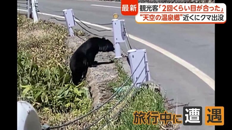 「恐怖感じた」“天空の温泉郷”で子グマ目撃　各地で出没相次ぎ警戒高まる　住職「お供え物は持ち帰って」｜FNNプライムオンライン