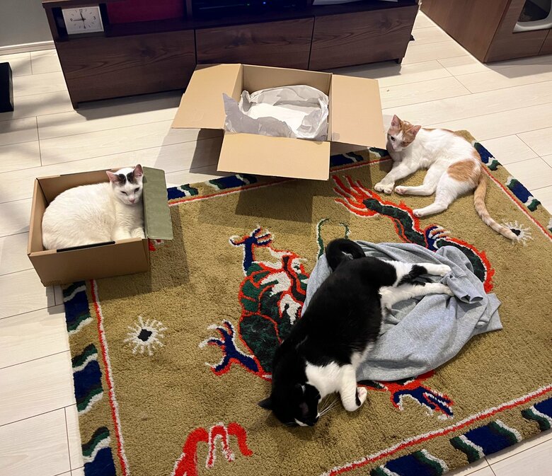 提供：卵山玉子先生