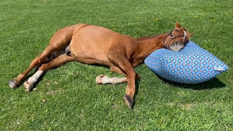 とろんとした瞳を見せてくれた