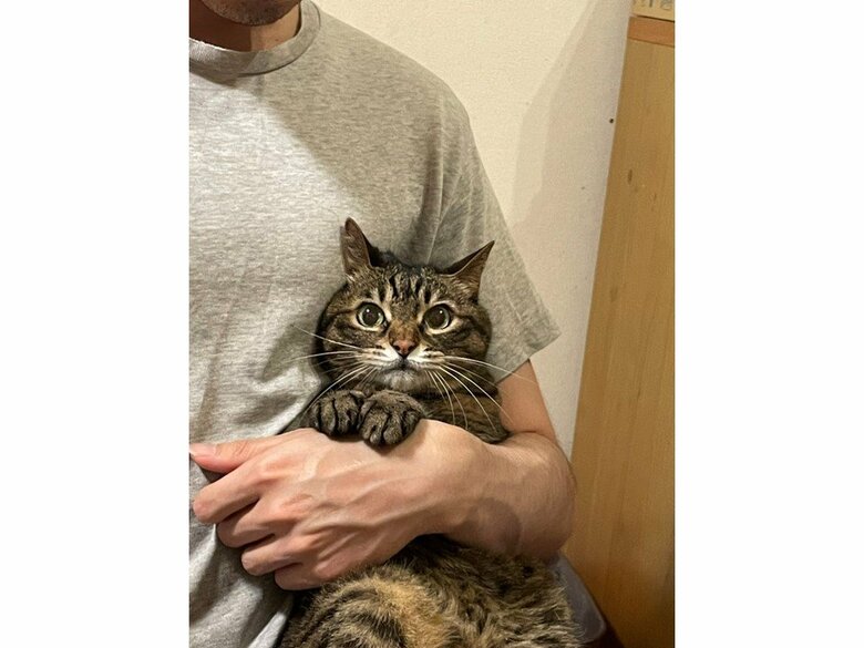 提供：えーさん