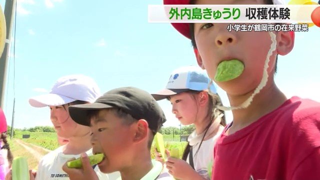 畑で採りたてのみずみずしいキュウリをほおばる子どもたち