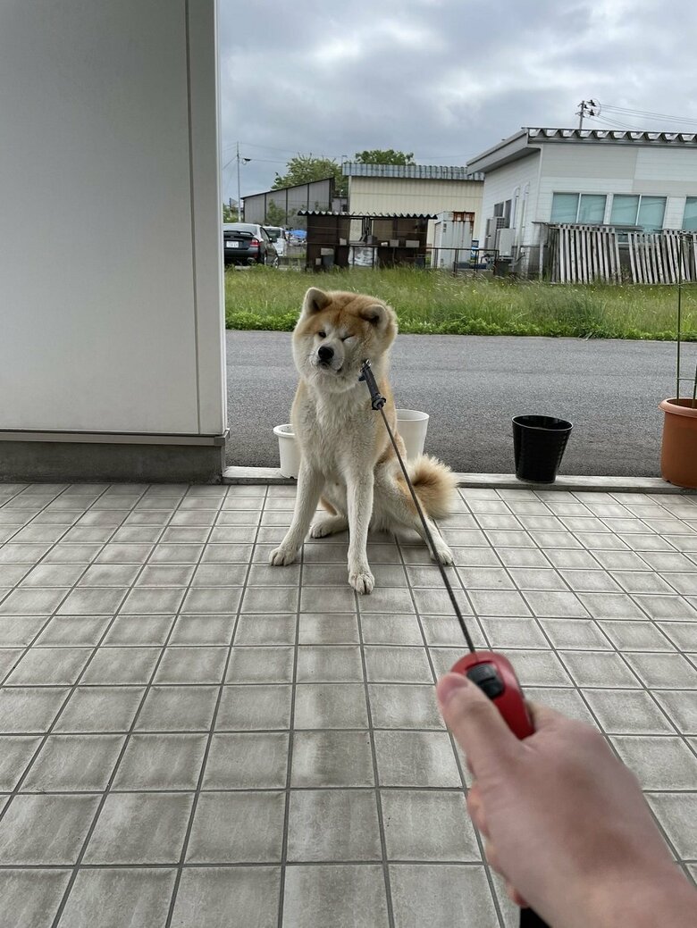 病院も全力で拒否！