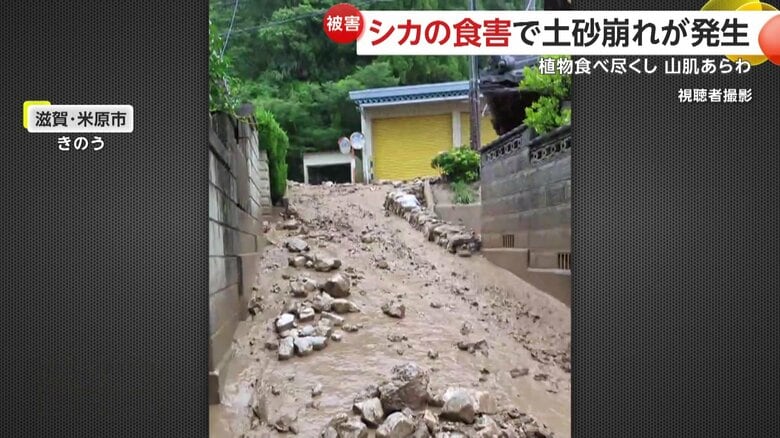 土を含み茶色く濁った雨水や土砂が滝のように住宅街に流れ込んでいく土砂崩れ（25日、滋賀・米原市）