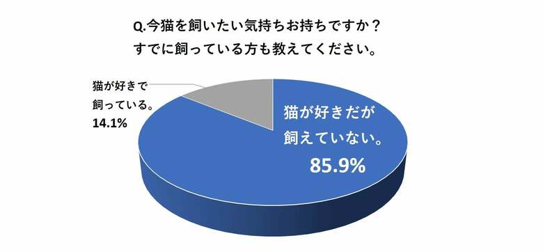 （出典:セガトイズ）