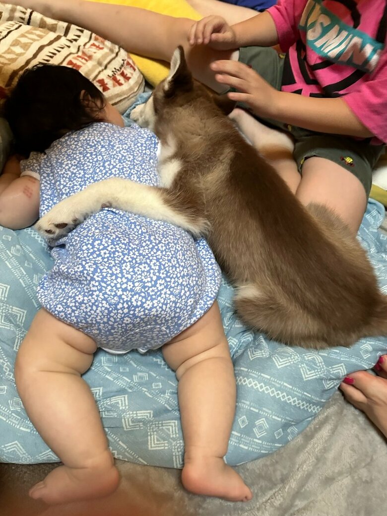 赤ちゃんに寄り添うマリアンちゃん