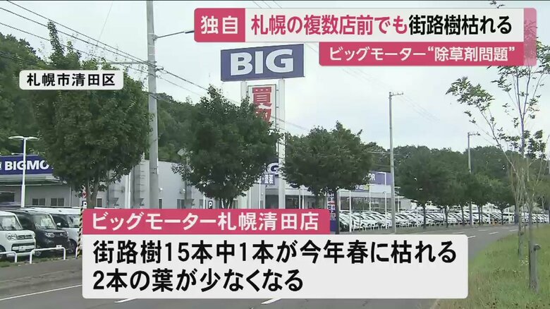 近くの街路樹は青々と茂っているが…