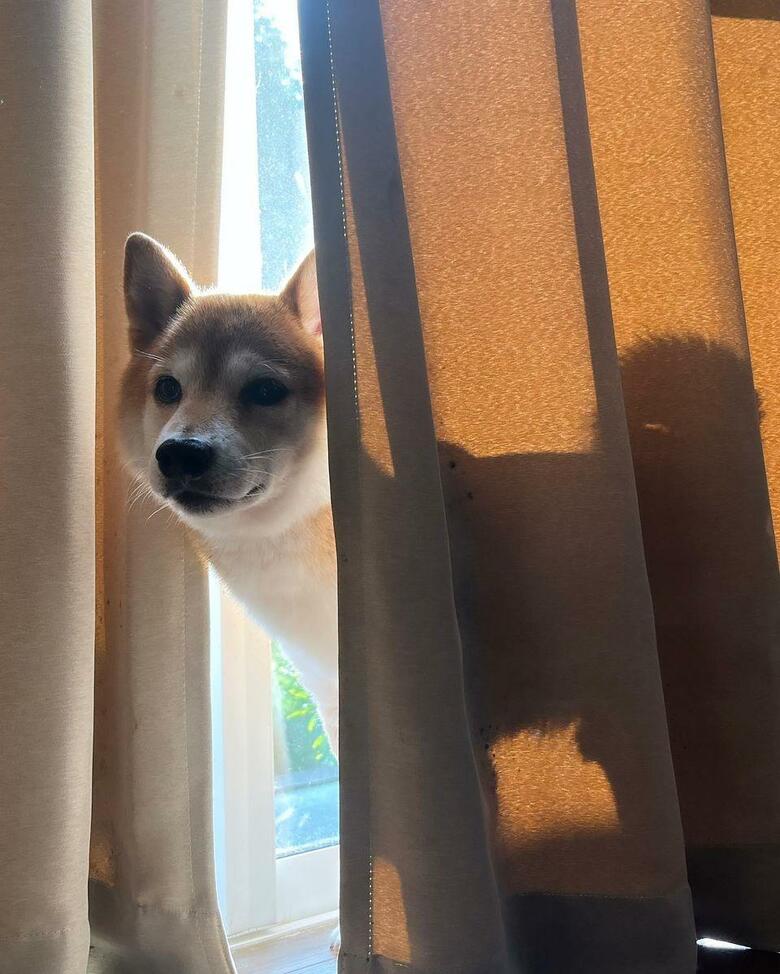 提供：ムックパパさん