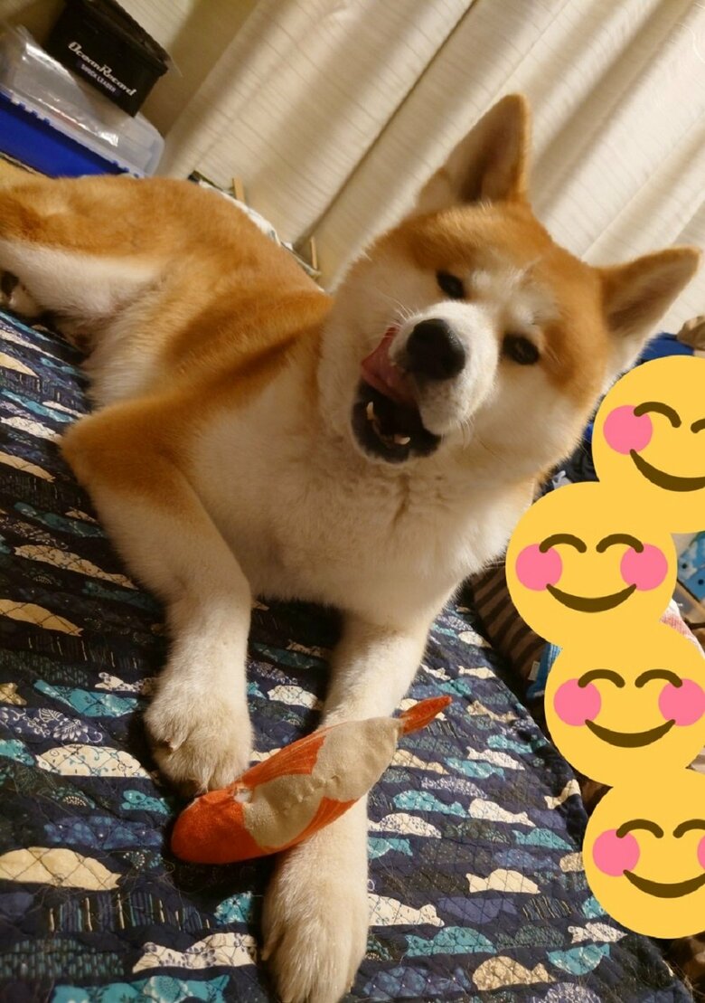 遊び中