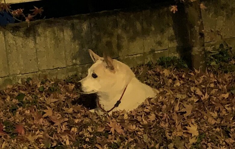 どこを見つめているの…