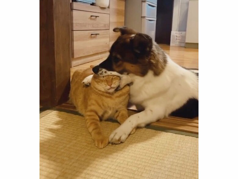 提供：naomiさん