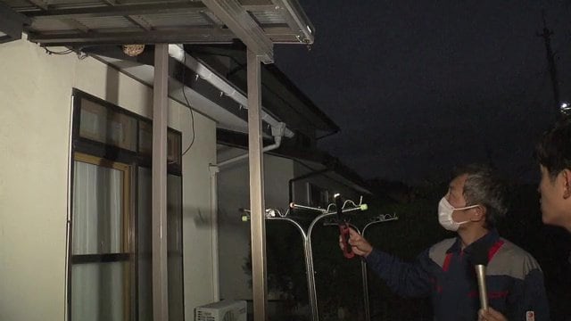 人の通りがある身近な所にできたスズメバチの巣