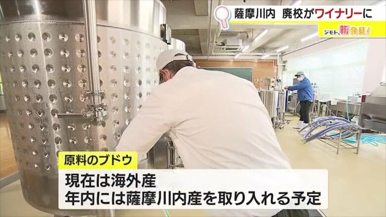 年内に原料のブドウを薩摩川内産に