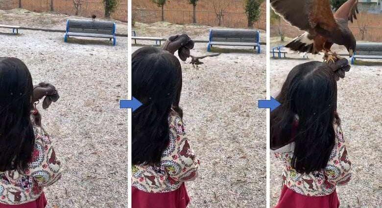 次女さんのフライトの様子