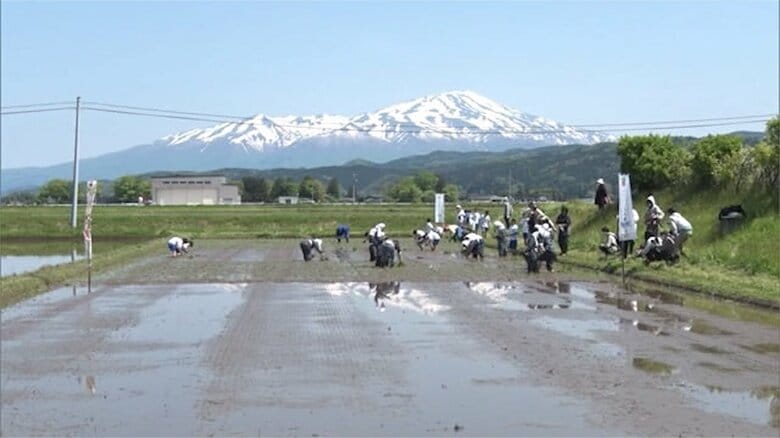 鳥海山望む田植え日和に…