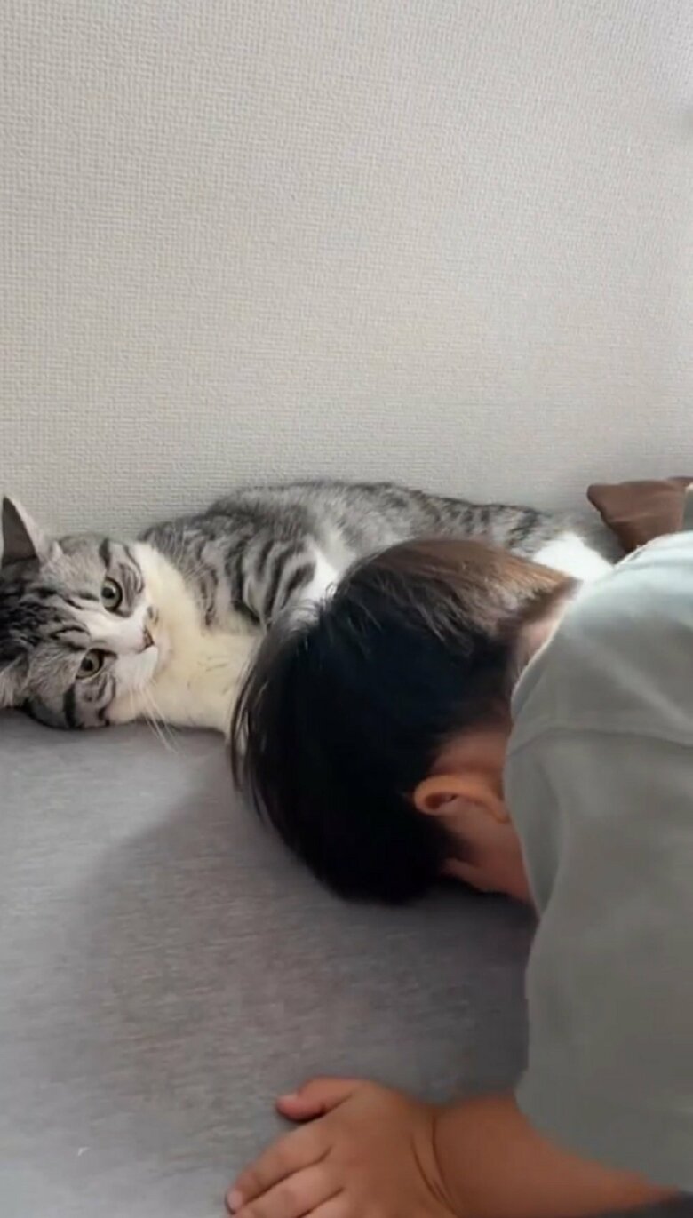 頭をぐいっと下げる　まるで土下座のような体勢