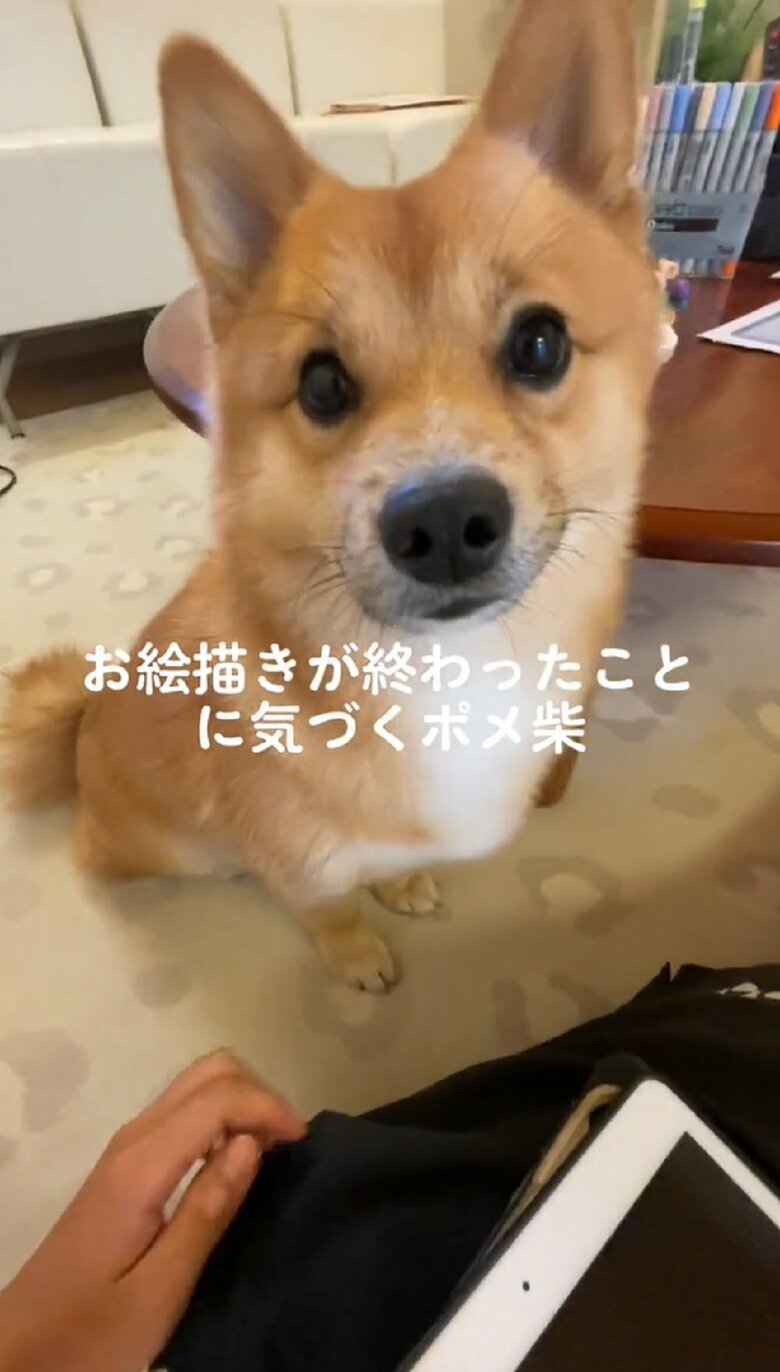 「自分の番ですね！」と期待に満ちた様子で見つめてきた