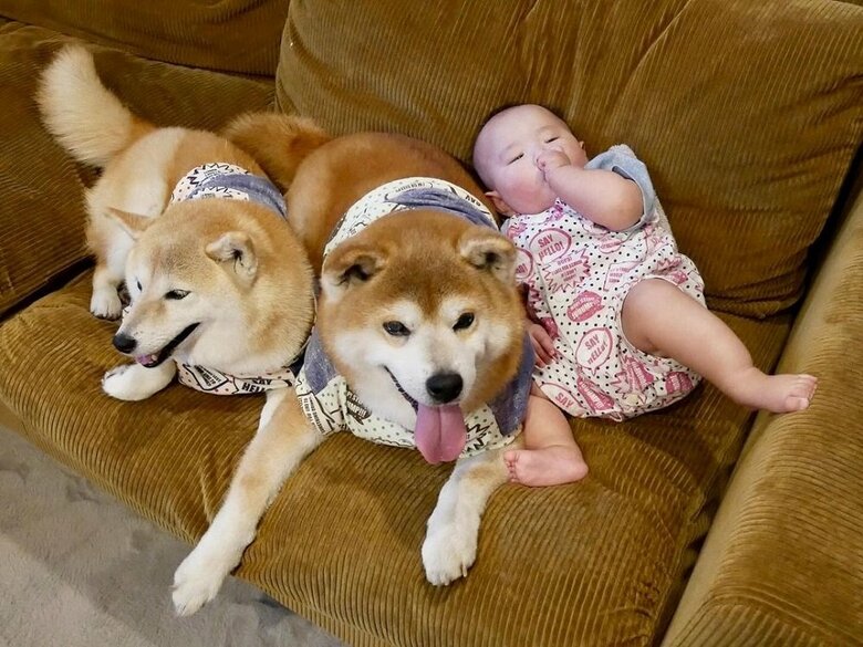 左から　むくみちゃん、べりやんくん、娘さん