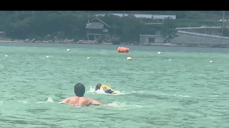 イルカが子どもを襲う一部始終⑰（全18枚）