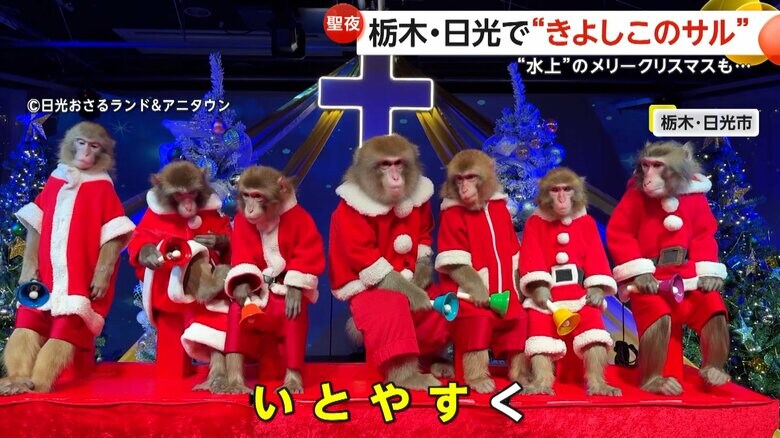 日光さる軍団が「きよしこの夜」を演奏する様子