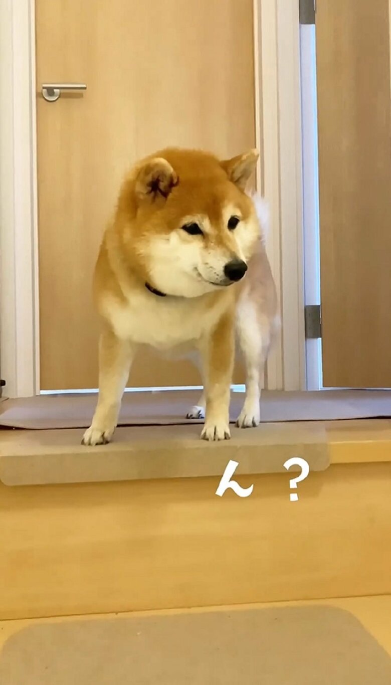 「ん？」と静止して耳を澄ます