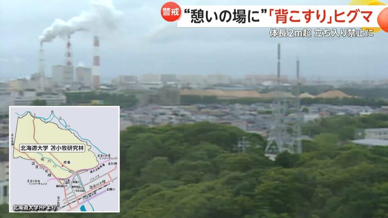 研究林は“緑のオアシス”として苫小牧市民に親しまれている