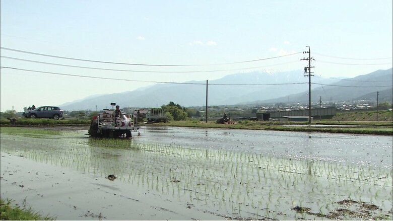 瀬戸ライスファームが管理している水田（長野県辰野町）