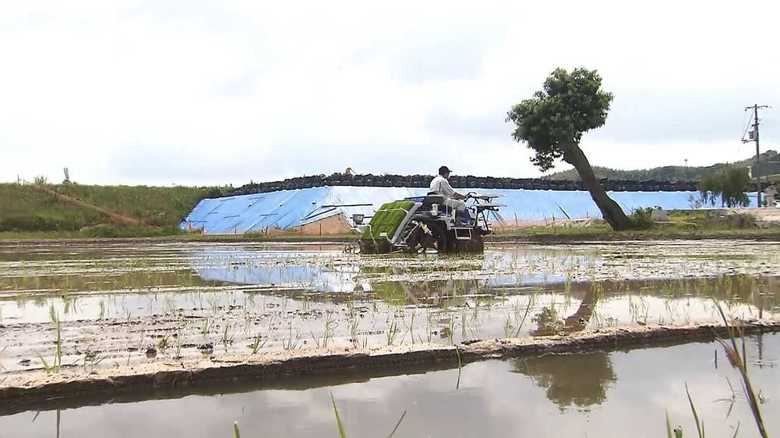 ふるさとに戻るかそれとも…西日本豪雨から立ち直りコメ作りを再開するも葛藤する農家【岡山発】