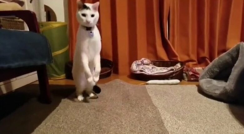 スッと立ち上がり…