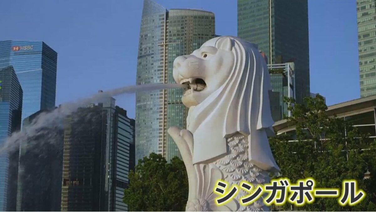 【中古】 余暇市場をさぐる 学習・旅行編/ニュートンプレス/教育社 ホーム | 新居浜市立北中学校
