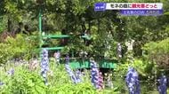 GW《モネの庭》はスイレン見頃　高知・北川村で「思った以上にきれいで驚いています」