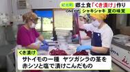 サトイモの一種を赤シソなどで漬け込む…三重県紀北町で夏の郷土食「くき漬け」作りが最盛期 地元の道の駅などで販売